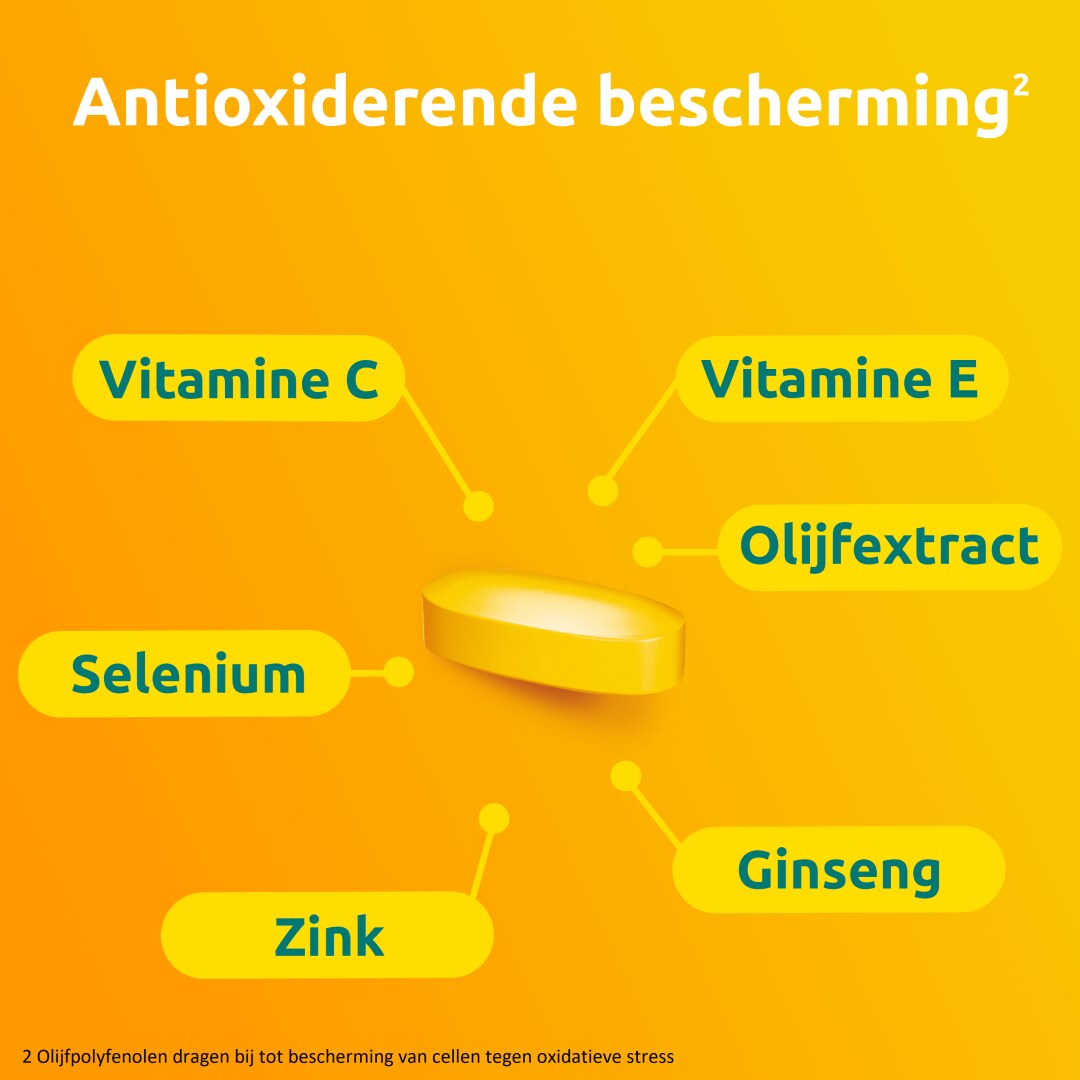 Vital 50+ samenstelling